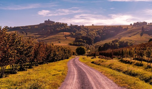 Un paesaggio autunnale nelle Langhe (Langhe Experience)
