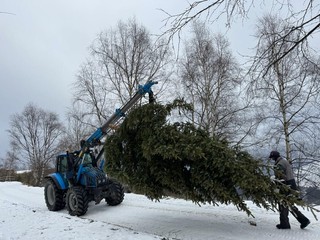 Il trasporto del cimale dell'albero da Pian Munè
