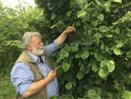 Lorenzo Traversa Lorenzo Traversa