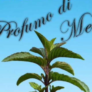 Unitre Moretta, un anno con 300 iscritti si chiude tra cultura e partecipazione