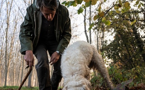 Foto di Langhe Experience