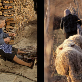 "Il lavoro e la storia: le Langhe": sabato 21 marzo ad Alba un incontro sulla metamorfosi di una terra