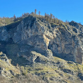 Regolamentazione dell’arrampicata nella falesia di Andonno per la nidificazione di falco pellegrino