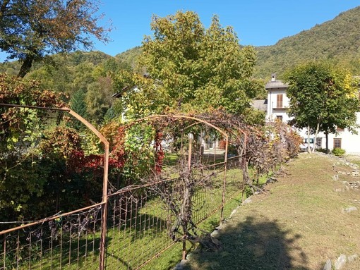 Gaiola, lavori al centro polifunzionale “La Gramigna” per la valorizzazione della castanicoltura: liquidati gli interventi migliorativi Gaiola, lavori al centro polifunzionale “La Gramigna” per la valorizzazione della castanicoltura: liquidati gli interventi migliorativi