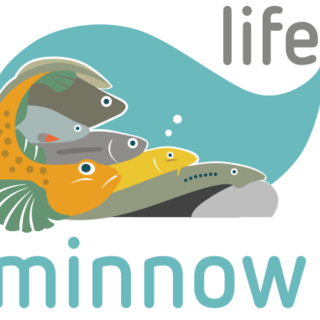 In Provincia un convegno sulla gestione sostenibile della fauna ittica