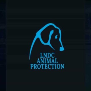 Cagnolina impiccata nel Monregalese, la denuncia di LNDC Animal Protection: "Chi sa parli"