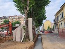 Cuneo, continuano i lavori di rifacimento dello sferisterio: scavi e colate di cemento fatali per la vita degli alberi? Cuneo, continuano i lavori di rifacimento dello sferisterio: scavi e colate di cemento fatali per la vita degli alberi?