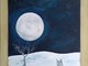 In arrivo la splendida Luna della Neve, da non perdere