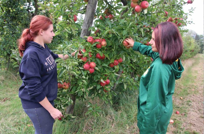 Noemi e Clara Mellano nel frutteto di mele Jonagold