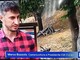 Castanicoltura, Bozzolo (Cia Cuneo) al Tg1: "L’Italia importa oltre metà del fabbisogno, occorre recuperare i castagneti abbandonati"