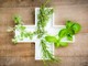 Non convenzionali, non improvvisate: le medicine integrative si presentano ai cittadini a Cuneo Non convenzionali, non improvvisate: le medicine integrative si presentano ai cittadini a Cuneo