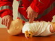 Alba, in piazza Ferrero le manovre salvavita pediatriche con l'Asl Cn2 Alba, in piazza Ferrero le manovre salvavita pediatriche con l'Asl Cn2