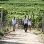 Mangialonga di La Morra 2026, domenica tra vigne, Barolo e sapori di Langa Mangialonga di La Morra 2026, domenica tra vigne, Barolo e sapori di Langa