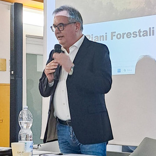 Giornata nazionale delle foreste: "I boschi piemontesi sempre più al centro delle politiche regionali"