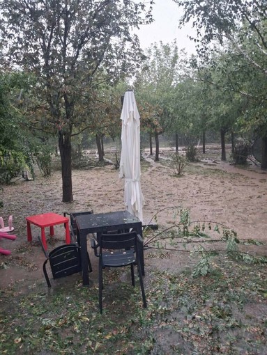 I danni del maltempo di venerdì scorso nella struttura a Roddi I danni del maltempo di venerdì scorso nella struttura a Roddi