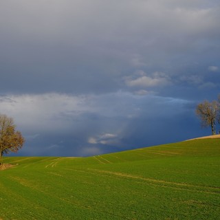 Foto di Karl Egger da Pixabay Foto di Karl Egger da Pixabay