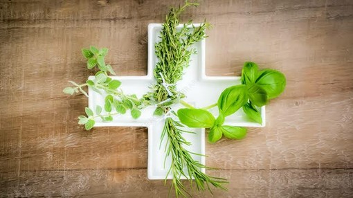 Non convenzionali, non improvvisate: le medicine integrative si presentano ai cittadini a Cuneo Non convenzionali, non improvvisate: le medicine integrative si presentano ai cittadini a Cuneo