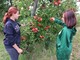 Noemi e Clara Mellano nel frutteto di mele Jonagold