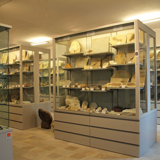 La collezione geologica più antica del Piemonte in mostra a Bernezzo La collezione geologica più antica del Piemonte in mostra a Bernezzo