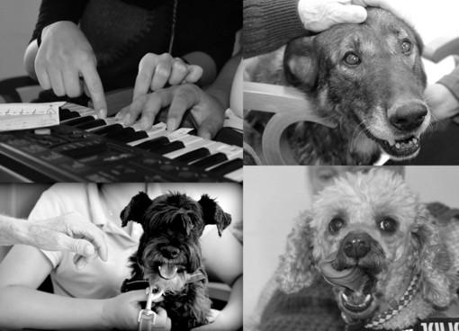 La pet therapy e la musicoterapia al Mater Amabilis Centro