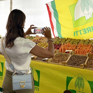 Mostra ortofrutticola &quot;Città di Cuneo&quot;