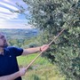 Marco Giachino, presidente del Consorzio per la tutela dell’olio extravergine di oliva Piemonte