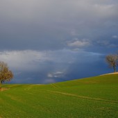 Foto di Karl Egger da Pixabay Foto di Karl Egger da Pixabay