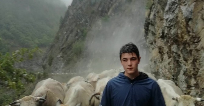 Celle Macra, non ce l’ha fatta Michele Girardo: morto all’ospedale di Cuneo dopo lo schianto a Busca Celle Macra, non ce l’ha fatta Michele Girardo: morto all’ospedale di Cuneo dopo lo schianto a Busca