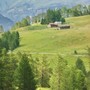 Marmora, torna il laboratorio di terapia forestale tra boschi e benessere Marmora, torna il laboratorio di terapia forestale tra boschi e benessere