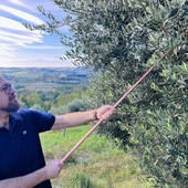 Marco Giachino, presidente del Consorzio per la tutela dell’olio extravergine di oliva Piemonte