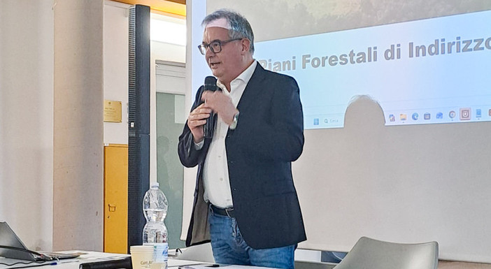 Giornata nazionale delle foreste: "I boschi piemontesi sempre più al centro delle politiche regionali"