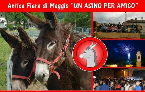 Monastero di Vasco: annullata anche l'edizione 2021 dell'Antica Fiera di Maggio &quot;Un asino per amico&quot;