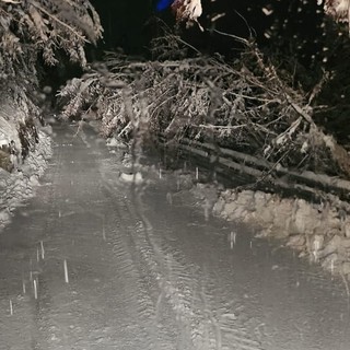 MALTEMPO / Notte di interventi per il maltempo, ma tutto rientra nella routine dei Vigili del Fuoco