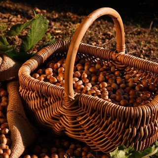 La nocciola piemontese IGP delle Langhe - fotografia dell'Ente Fiera della Nocciola