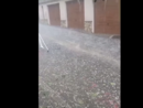 Il nubifragio con grandine e vento a Frabosa Sottana ( Andrea Vuolo- Meteo in Piemonte) Il nubifragio con grandine e vento a Frabosa Sottana ( Andrea Vuolo- Meteo in Piemonte)