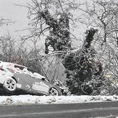 Un'auto fuori strada sulla Provinciale 50 tra Baraccone e Castagnito Un'auto fuori strada sulla Provinciale 50 tra Baraccone e Castagnito