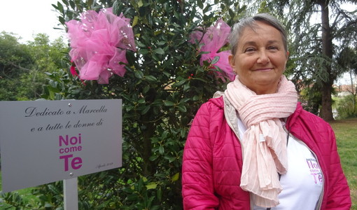 Norma Costantino, presidente di Noi come Te Norma Costantino, presidente di Noi come Te