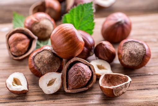 “Sapere i Sapori”: il FAI Cuneo celebra la nocciola, il frutto che disegna i paesaggi della nostra identità
