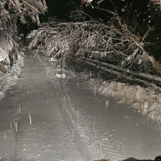 MALTEMPO / Notte di interventi per il maltempo, ma tutto rientra nella routine dei Vigili del Fuoco