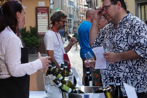 Notti del vino: l'edizione 2026 avrà tre cantine in più rispetto al 2025 Notti del vino: l'edizione 2026 avrà tre cantine in più rispetto al 2025