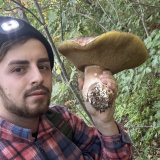 Un porcino da oltre due chili nei boschi di Dronero