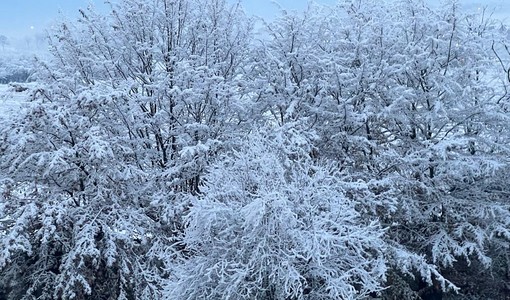 Tanta pioggia in pianura e tanta neve in montagna: in arrivo giornate di abbondanti precipitazioni