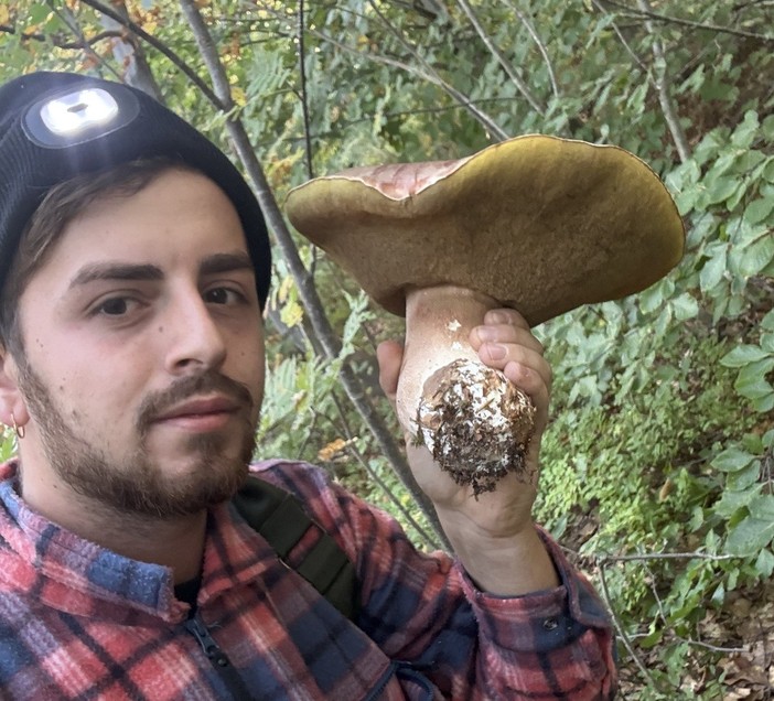 Un porcino da oltre due chili nei boschi di Dronero Un porcino da oltre due chili nei boschi di Dronero