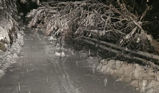 MALTEMPO / Notte di interventi per il maltempo, ma tutto rientra nella routine dei Vigili del Fuoco