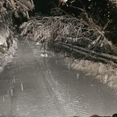 MALTEMPO / Notte di interventi per il maltempo, ma tutto rientra nella routine dei Vigili del Fuoco