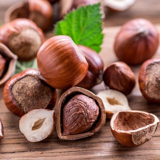 “Sapere i Sapori”: il FAI Cuneo celebra la nocciola, il frutto che disegna i paesaggi della nostra identità