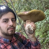 Un porcino da oltre due chili nei boschi di Dronero Un porcino da oltre due chili nei boschi di Dronero