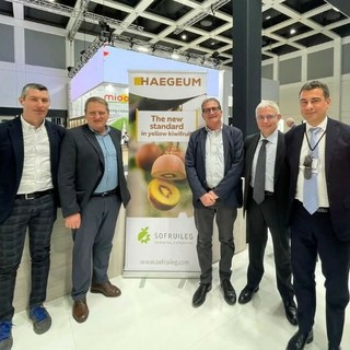 Frutticoltura piemontese, nuove opportunità per i produttori:  Orbita presenta il kiwi giallo Haegeum e le nuove pesche resistenti alla sharka