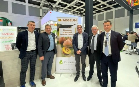 Frutticoltura piemontese, nuove opportunità per i produttori:  Orbita presenta il kiwi giallo Haegeum e le nuove pesche resistenti alla sharka