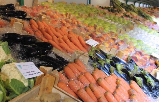 Cascina San Rocco non può vendere le carote: nelle bealere non c'è abbastanza acqua per lavarle